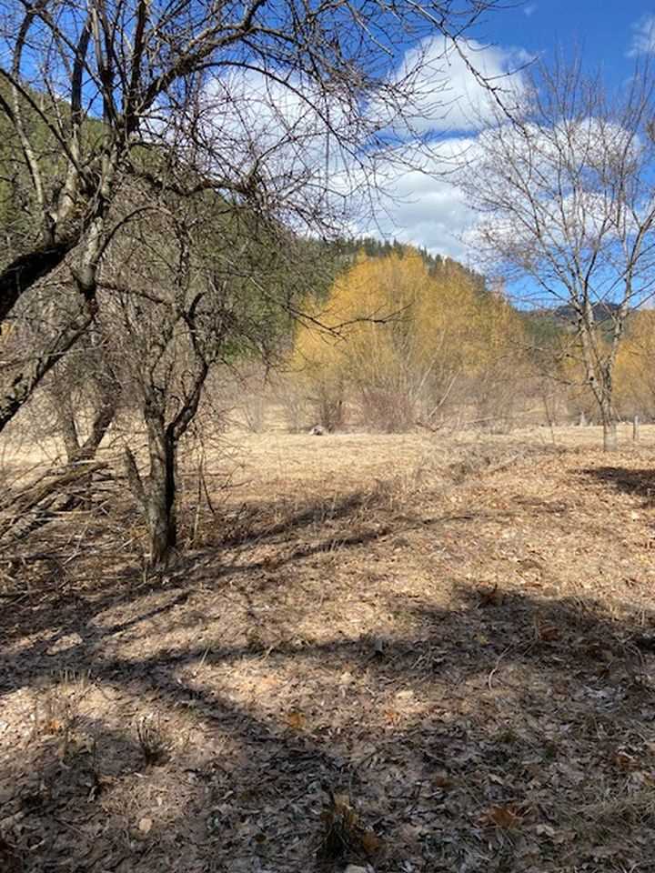 1107 Aladdin Road Colville, WA 99114 - Photo 10 of 20 Gallery Image 10
