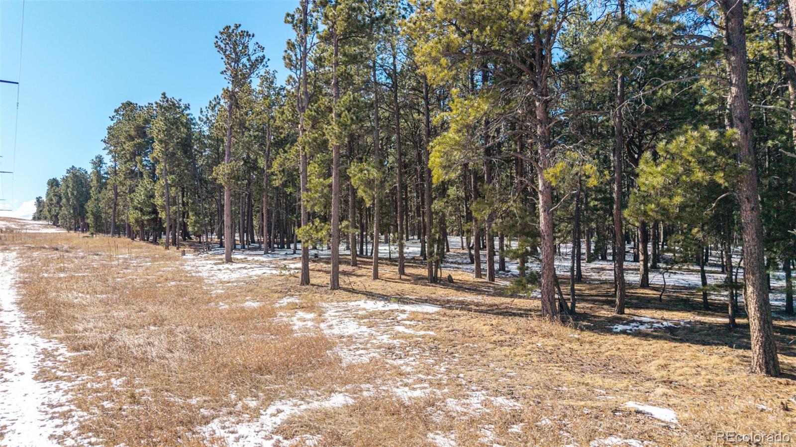 10775 Hardy Road Colorado Springs, CO 80908 - Photo 11 of 14