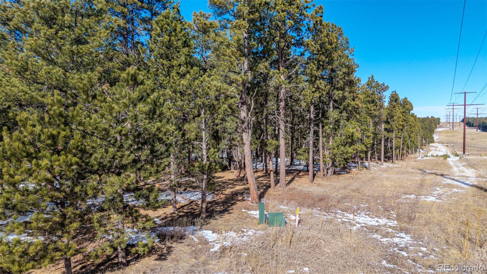 10775 Hardy Road Colorado Springs, CO 80908 - Photo 13 of 14