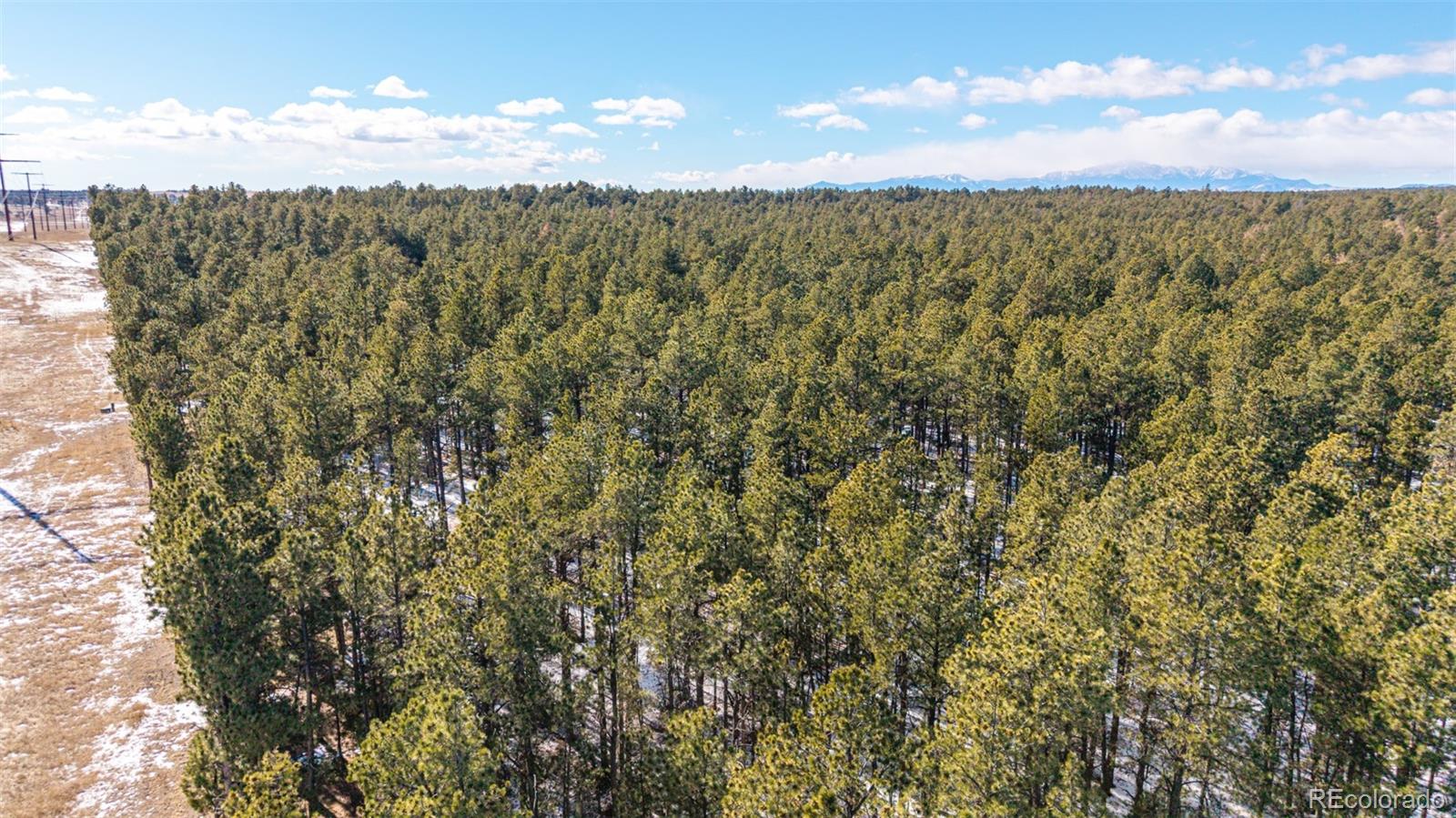 10775 Hardy Road Colorado Springs, CO 80908 - Photo 2 of 14