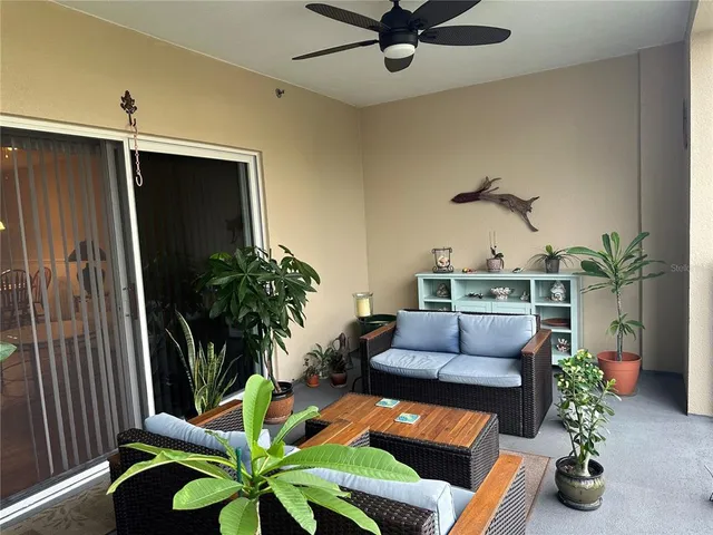 a living room with furniture potted plant and a window
