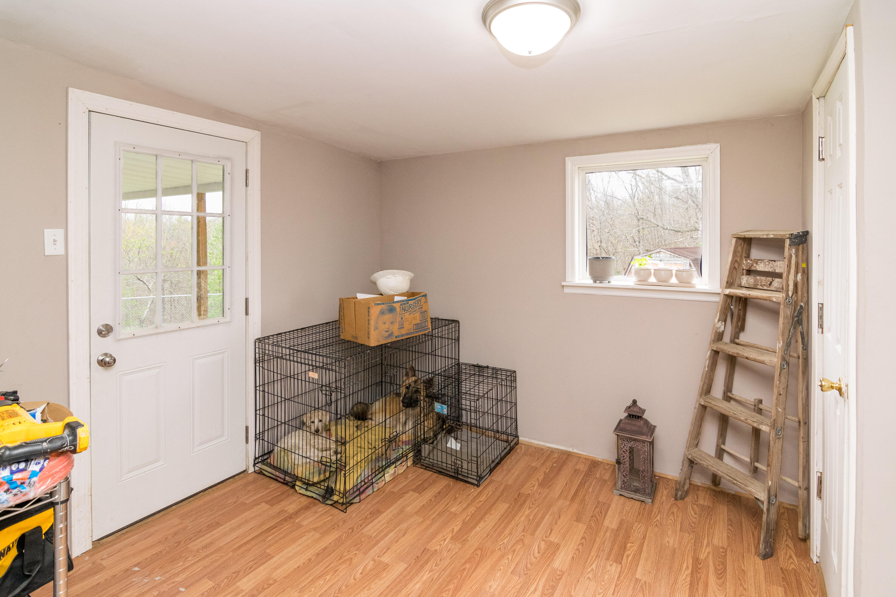 1315 Sand Hill Road Irvine, KY 40336 - Photo 34 of 45 1315SandHillNew-0062