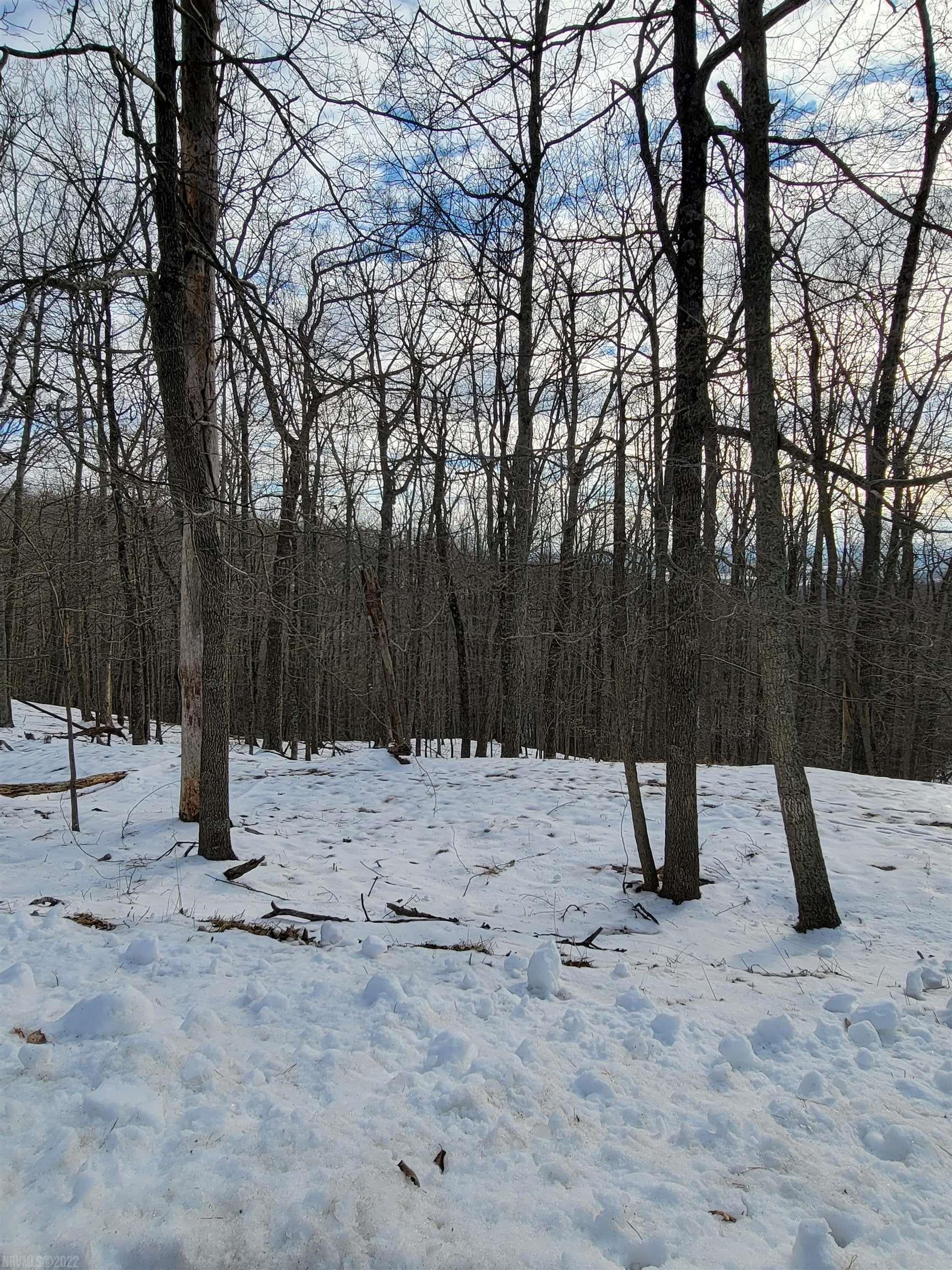 Tbd Brake Road Elliston, VA 24087 - Photo 9 of 20 Gallery Image 9
