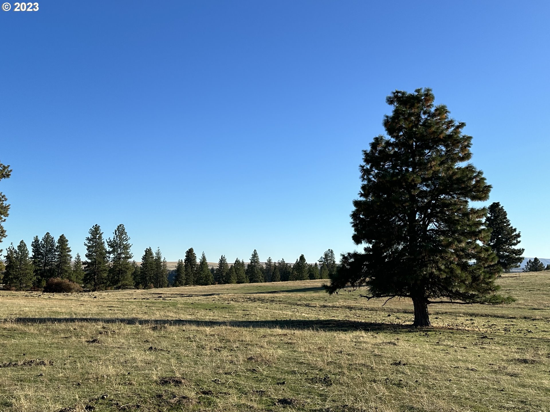 0 Windloch Road Goldendale, WA 98620 - Photo 18 of 22 Gallery Image 18