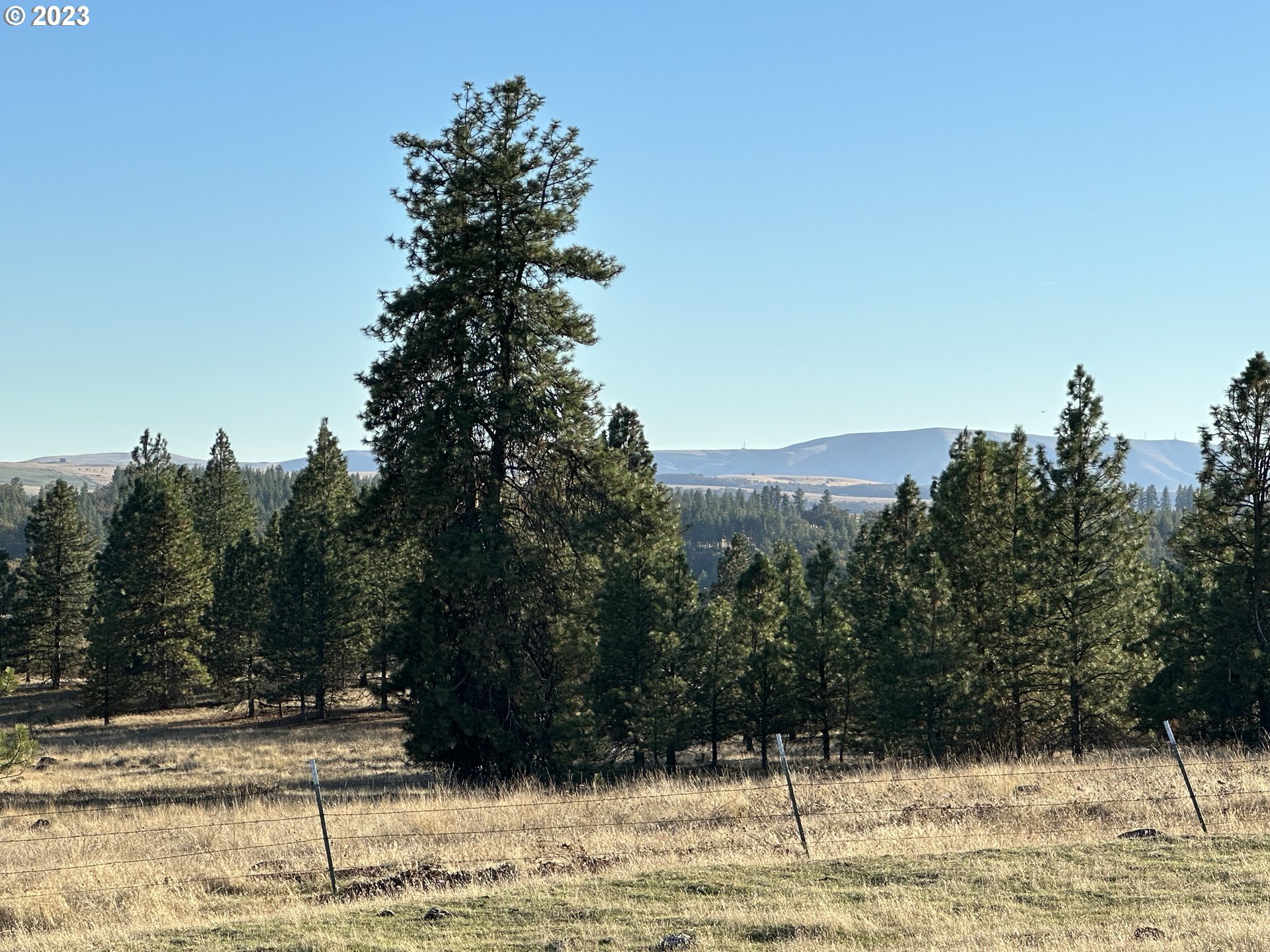 0 Windloch Road Goldendale, WA 98620 - Photo 20 of 22 Gallery Image 20