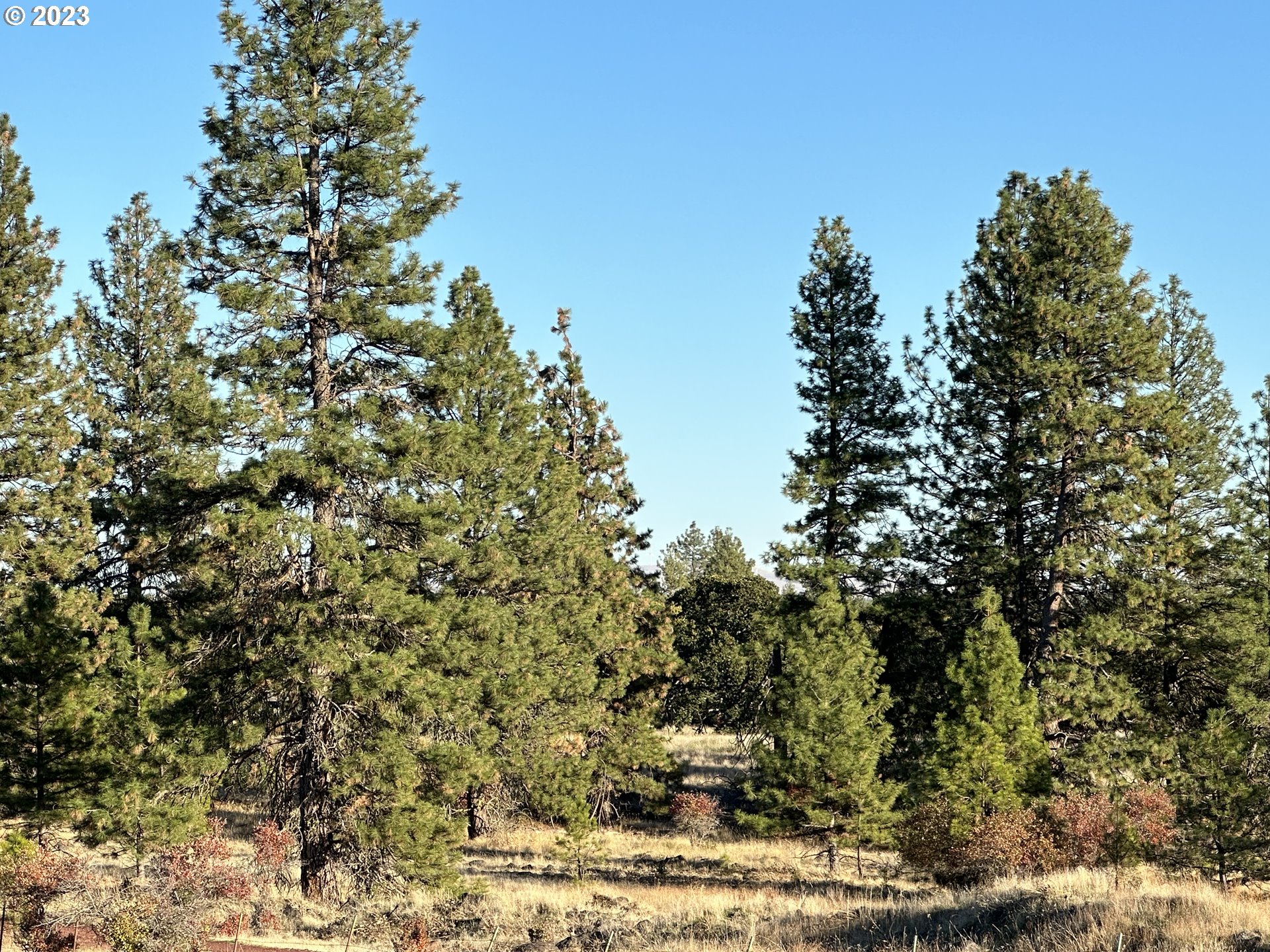 0 Windloch Road Goldendale, WA 98620 - Photo 21 of 22 Gallery Image 21