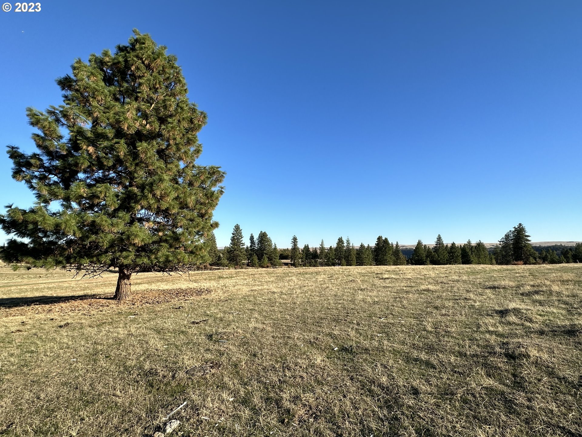 0 Windloch Road Goldendale, WA 98620 - Photo 4 of 22 Gallery Image 4