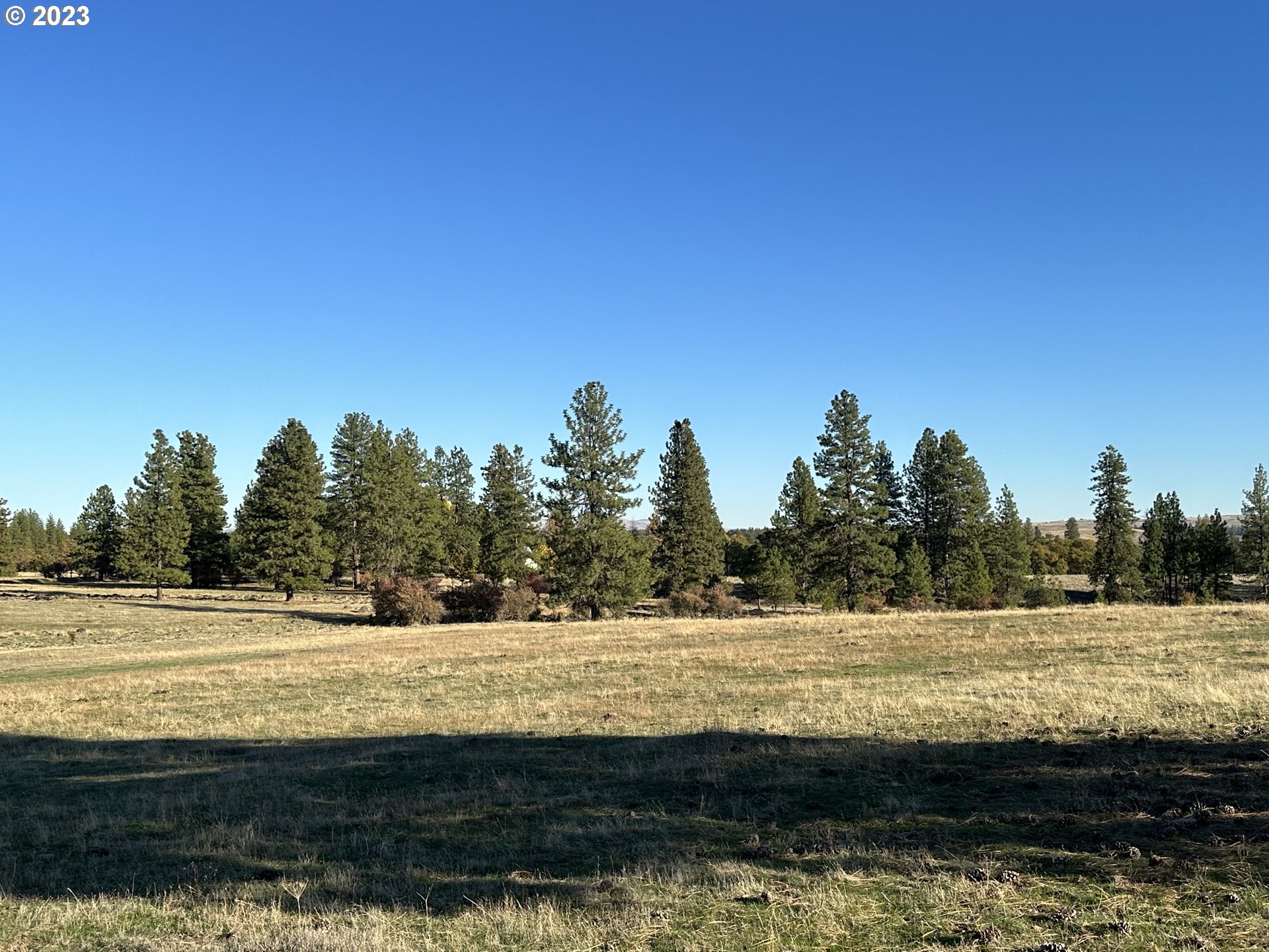0 Windloch Road Goldendale, WA 98620 - Photo 6 of 22 Gallery Image 6