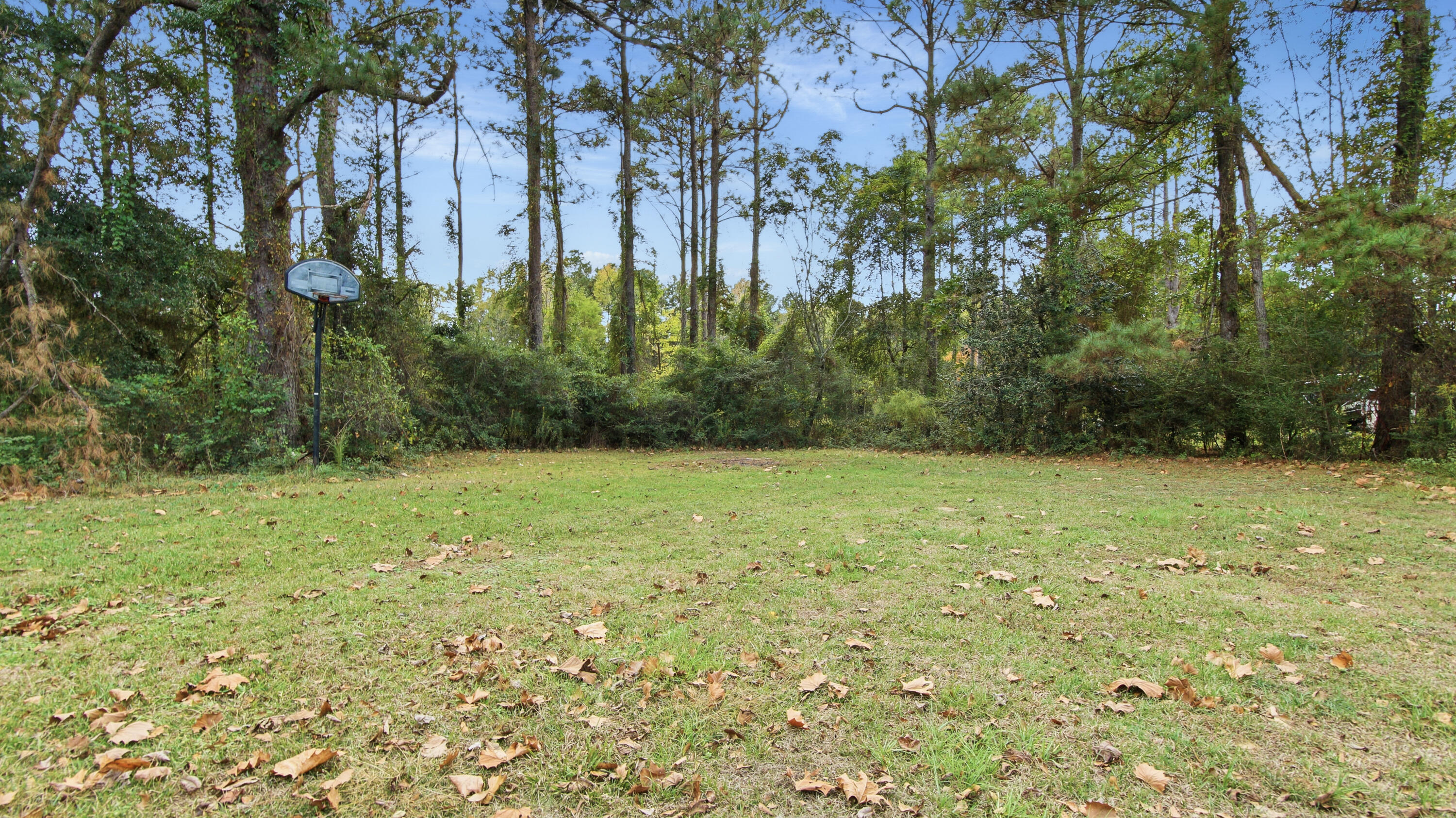 25226 Fifth Avenue Florala, AL 36442 - Photo 15 of 25 DSC00519 (1)