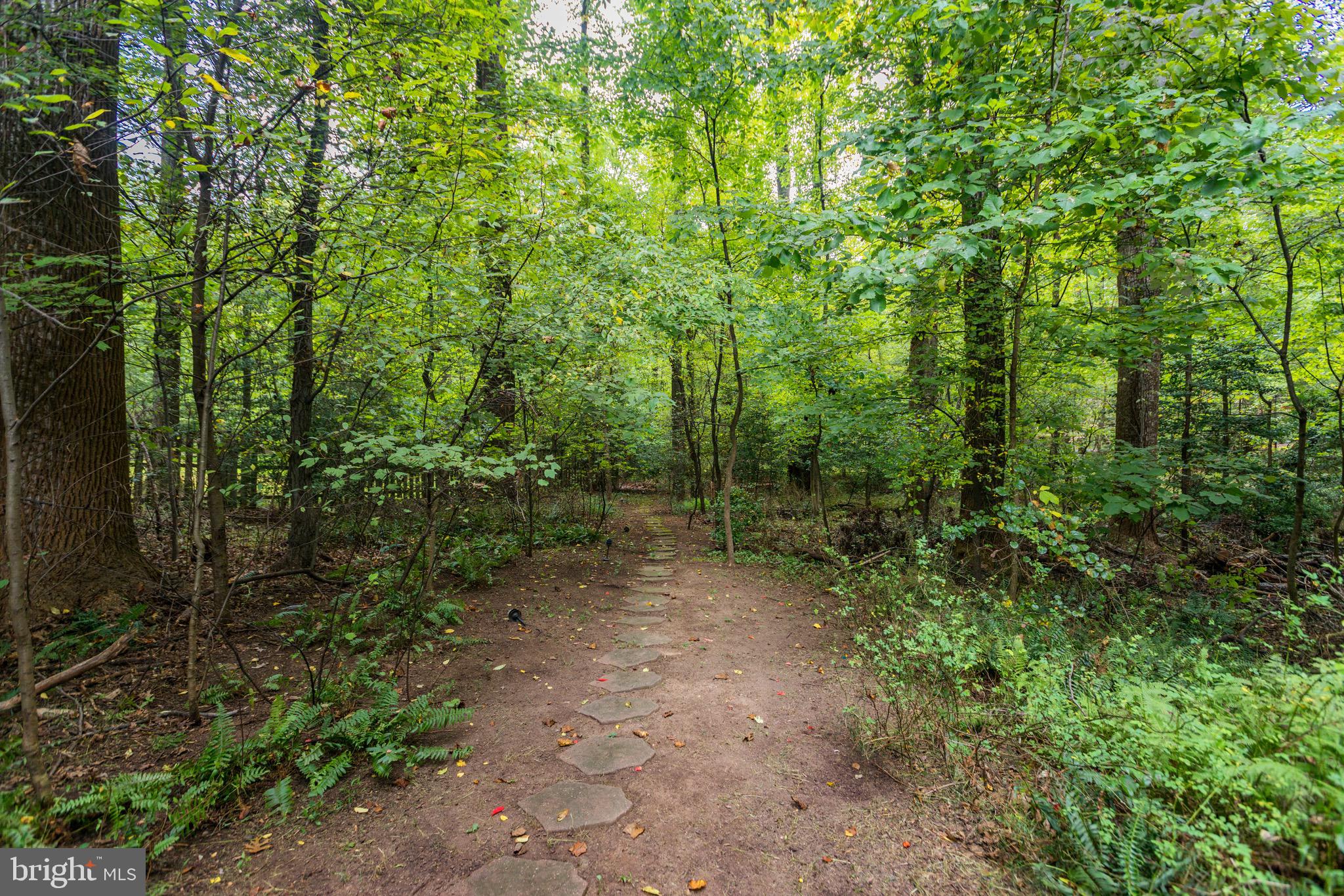2621 Fox Mill Road Reston, VA 20191 - Photo 60 of 67