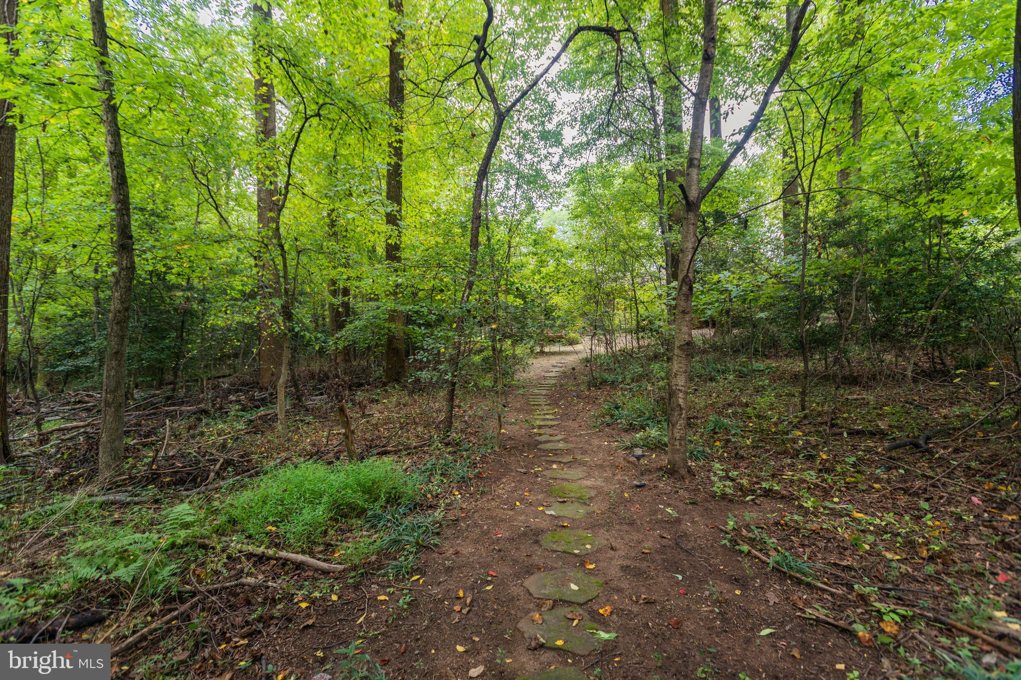 2621 Fox Mill Road Reston, VA 20191 - Photo 61 of 67