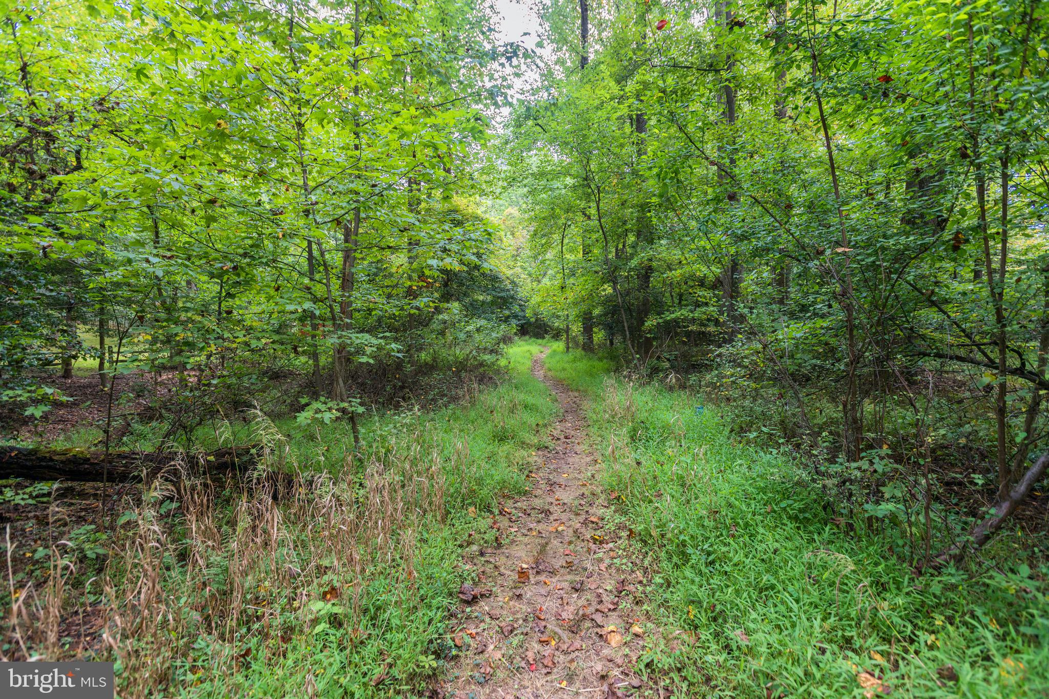 2621 Fox Mill Road Reston, VA 20191 - Photo 65 of 67