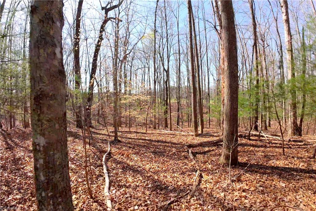 1019-12 George Road Westfield, NC 27053 - Photo 11 of 22