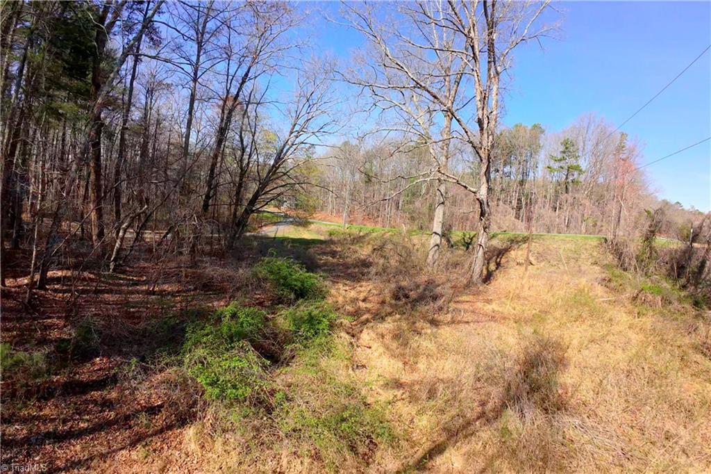 1019-12 George Road Westfield, NC 27053 - Photo 14 of 22