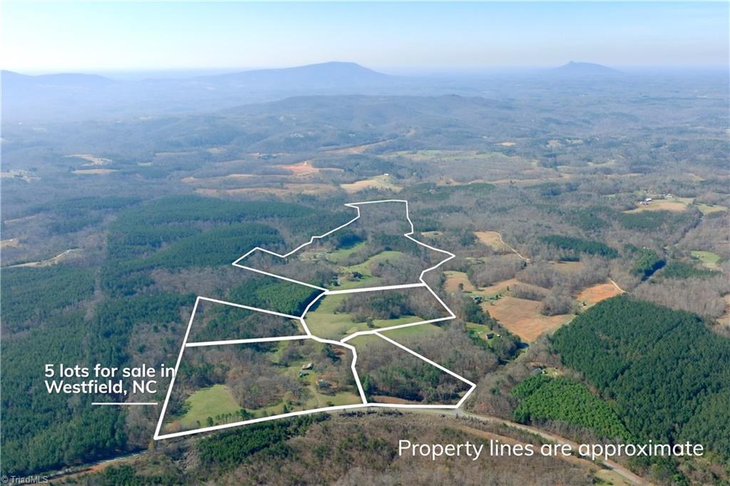 1019-12 George Road Westfield, NC 27053 - Photo 16 of 22