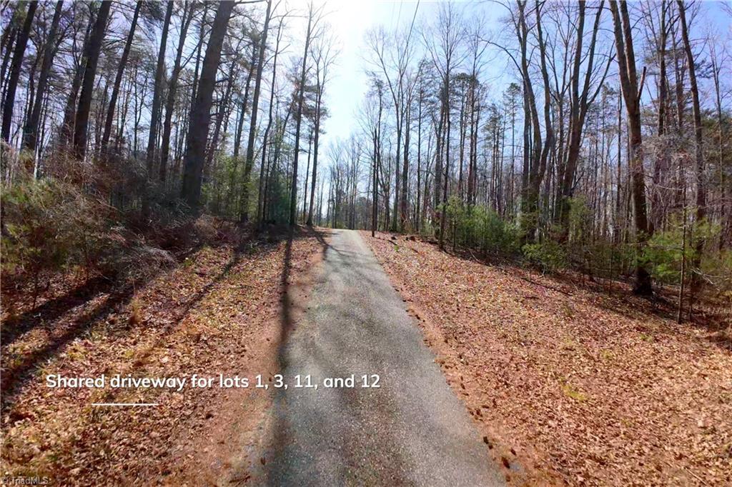 1019-12 George Road Westfield, NC 27053 - Photo 19 of 22