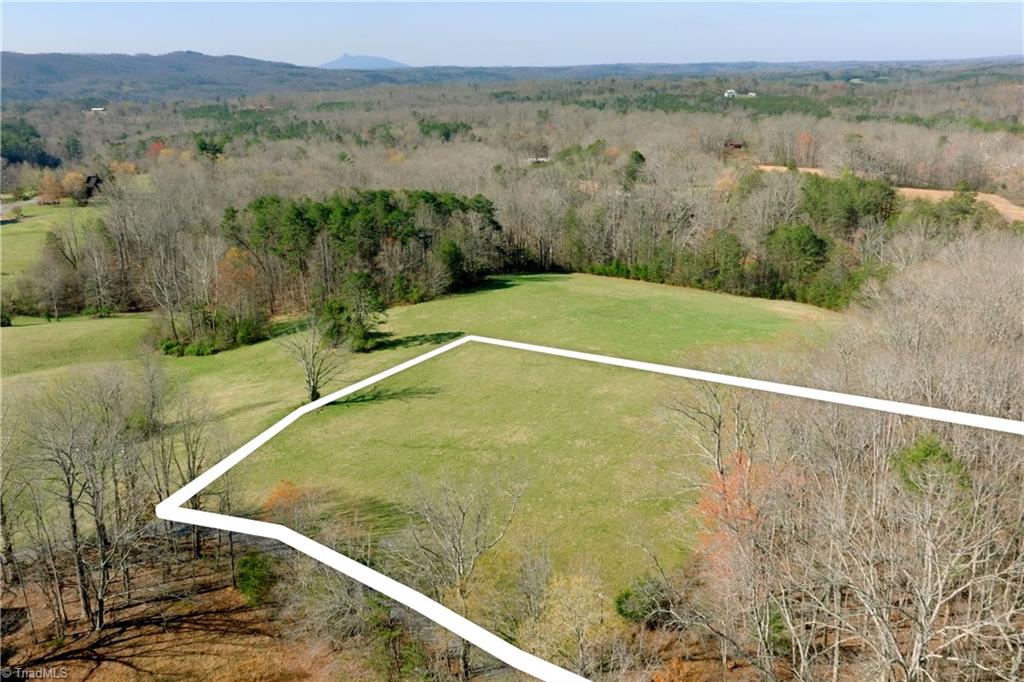 1019-12 George Road Westfield, NC 27053 - Photo 3 of 22