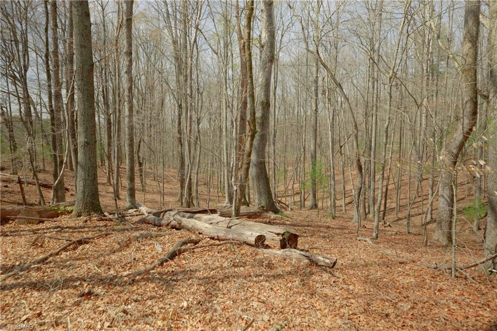 1019-12 George Road Westfield, NC 27053 - Photo 8 of 22