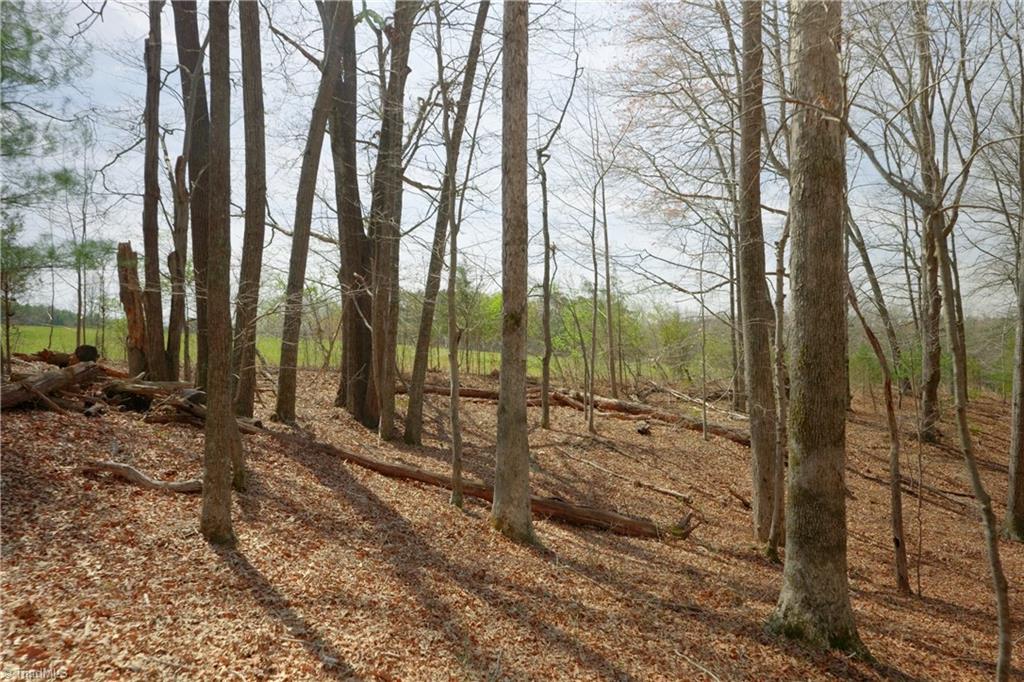 1019-12 George Road Westfield, NC 27053 - Photo 9 of 22