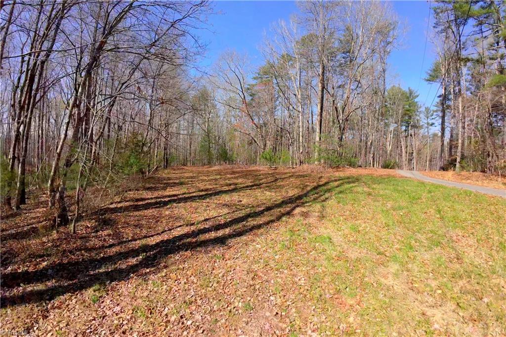 1019-12 George Road Westfield, NC 27053 - Photo 10 of 22