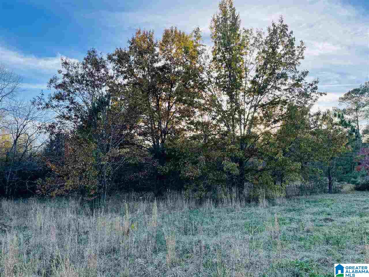 380 North Horton Road Wilsonville, AL 35186 - Photo 2 of 2