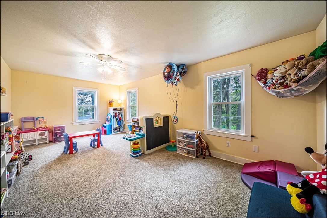 9883 Fairmount Road Newbury, OH 44065 - Photo 16 of 35 Gallery Image 16