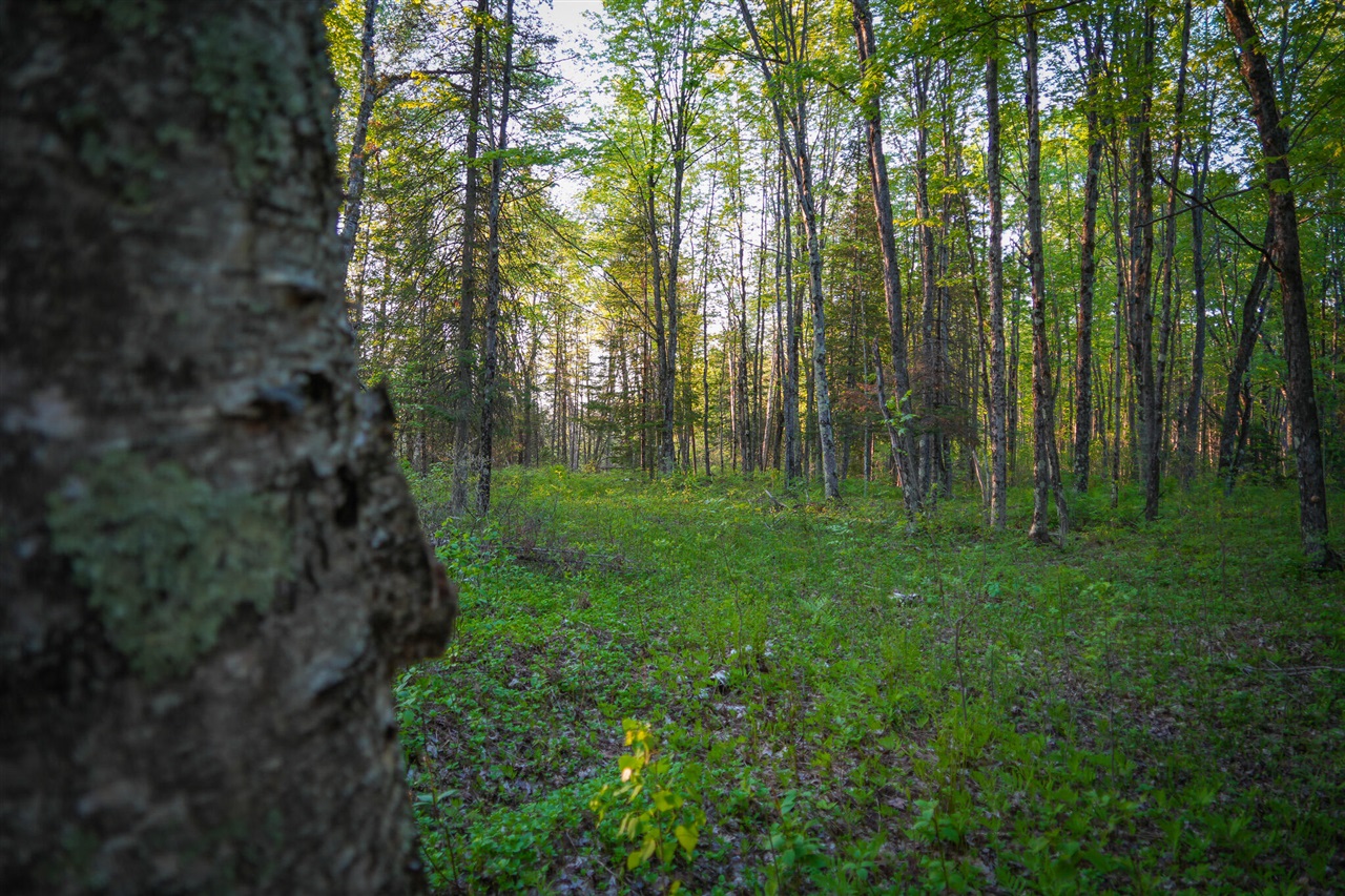 V/l V/l 33rd Road Gladstone, MI 49837 - Photo 53 of 70