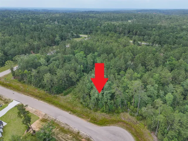 a view of a forest with a street