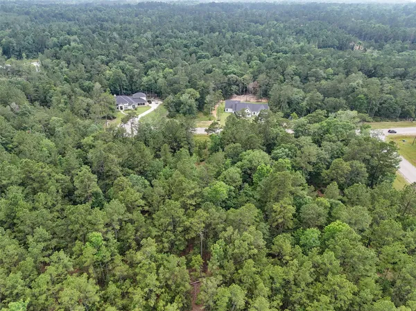 a view of a forest with a street