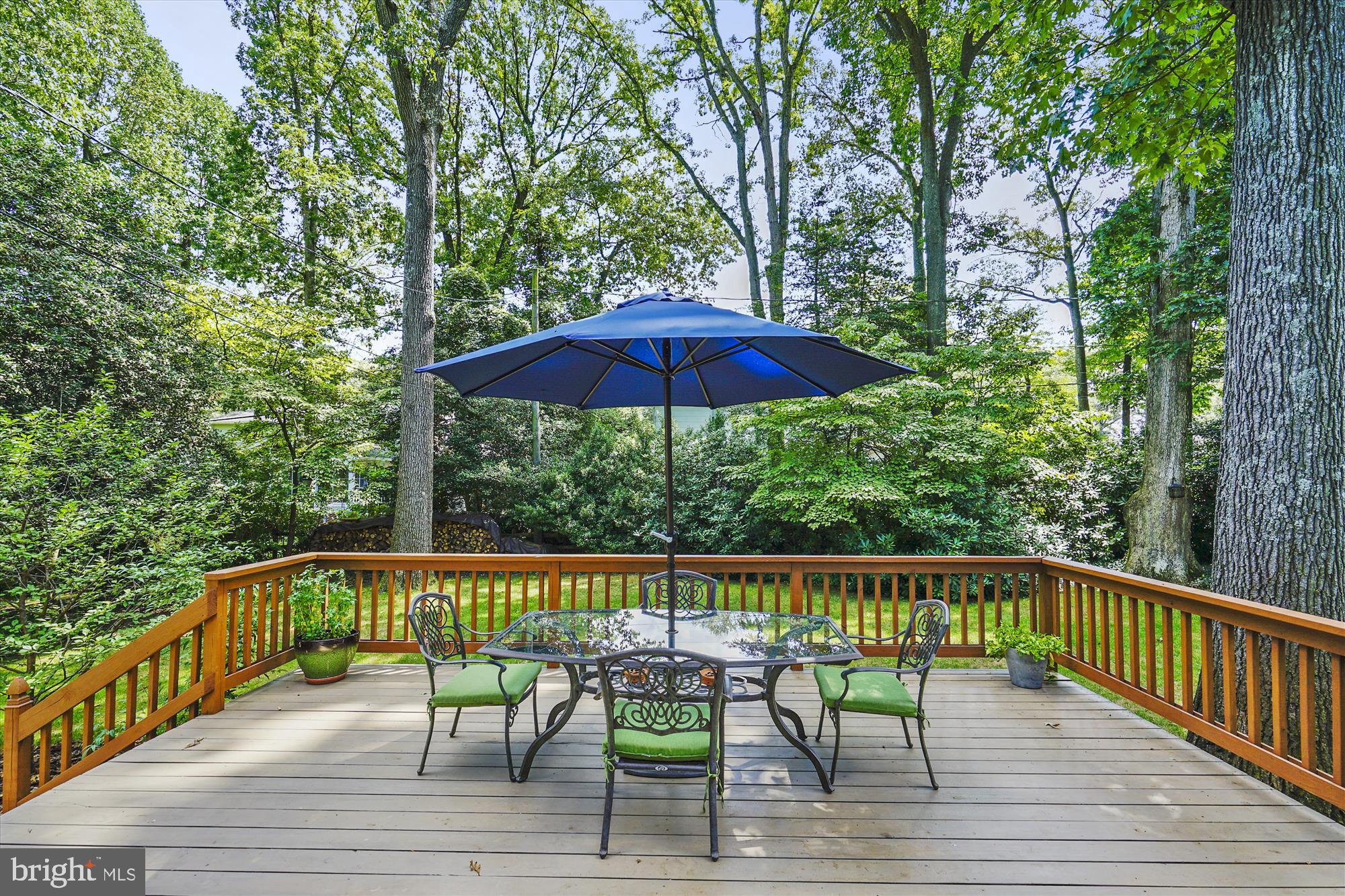 105 Stauffer Road Severna Park, MD 21146 - Photo 9 of 68 Large deck for entertaining
