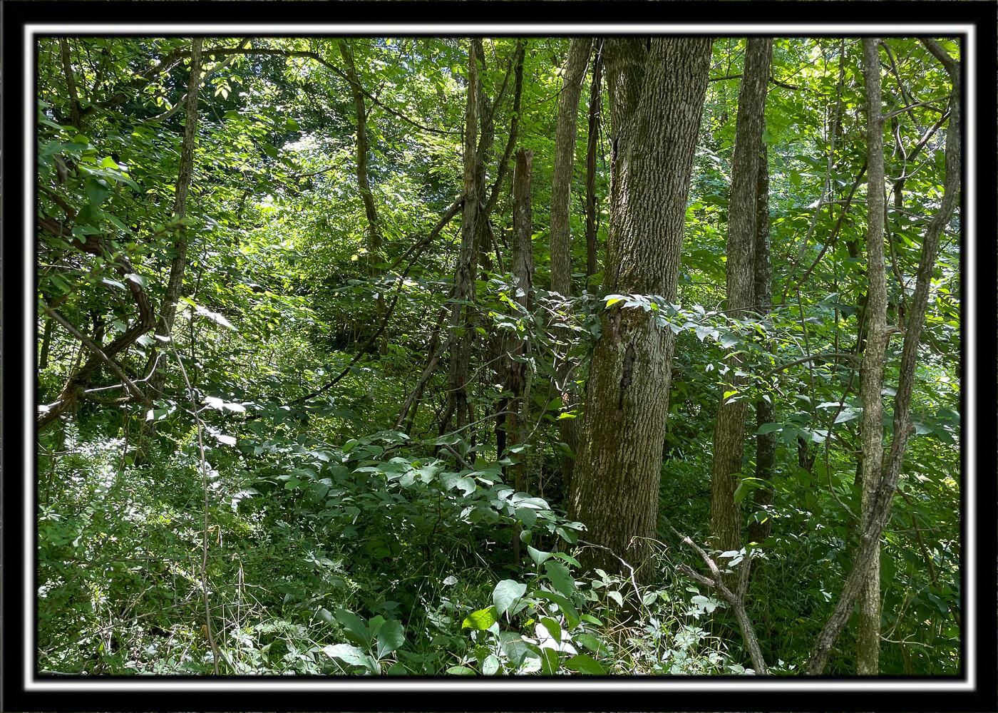 0 Hoop Pole Road, Unit TRACT 13 Roseville, OH 43777 - Photo 33 of 62 CT-14