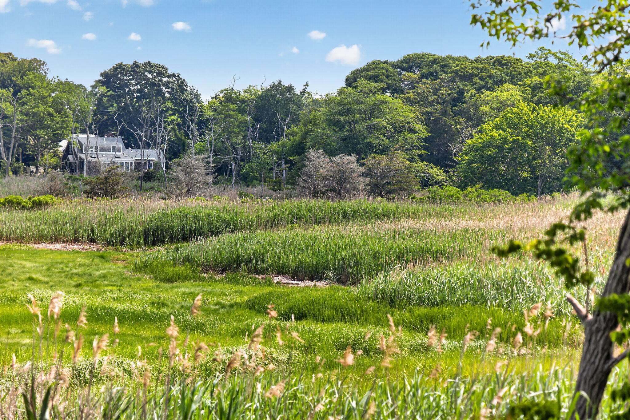 181 Rock Harbor Road Orleans, MA 02653 - Photo 20 of 56 43-8P0A7722