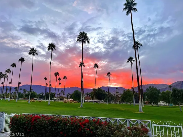 a view of a park with a view of a city