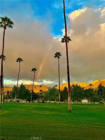 a view of a garden with a lake