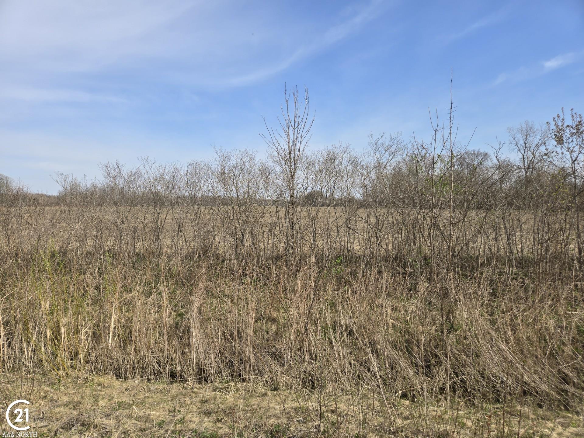 0 Meskill (lot D) Road Columbus, MI 48063 - Photo 10 of 15