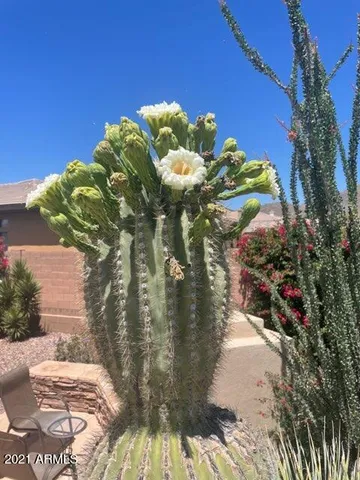 $7,500 | 41609 North Signal Hill Court, Anthem, AZ 85086