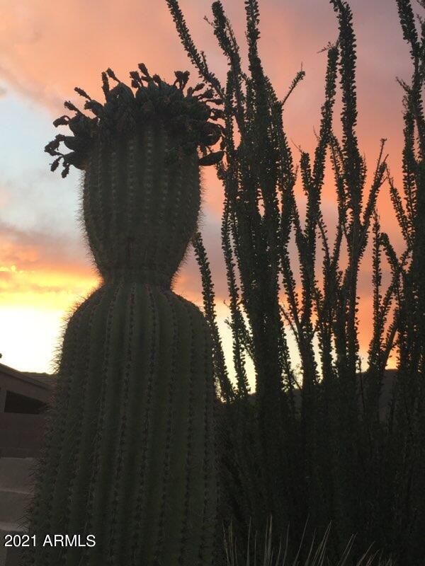 41609 North Signal Hill Court Anthem, AZ 85086 - Photo 50 of 72 41609 N Signal Hill Ct