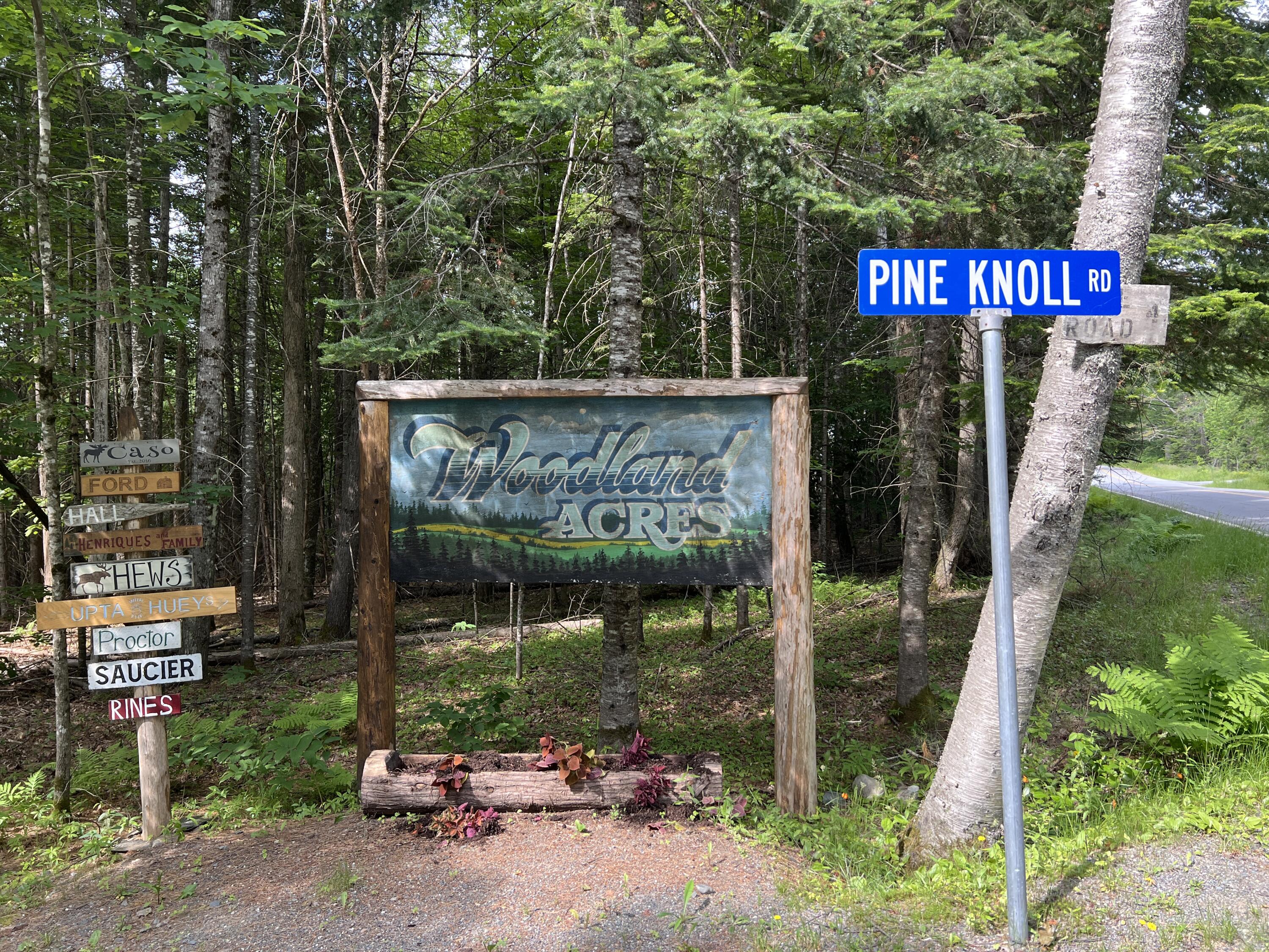 Lot #20 Pine Knoll Road Dover-Foxcroft, ME 04426 - Photo 1 of 13 IMG_3476