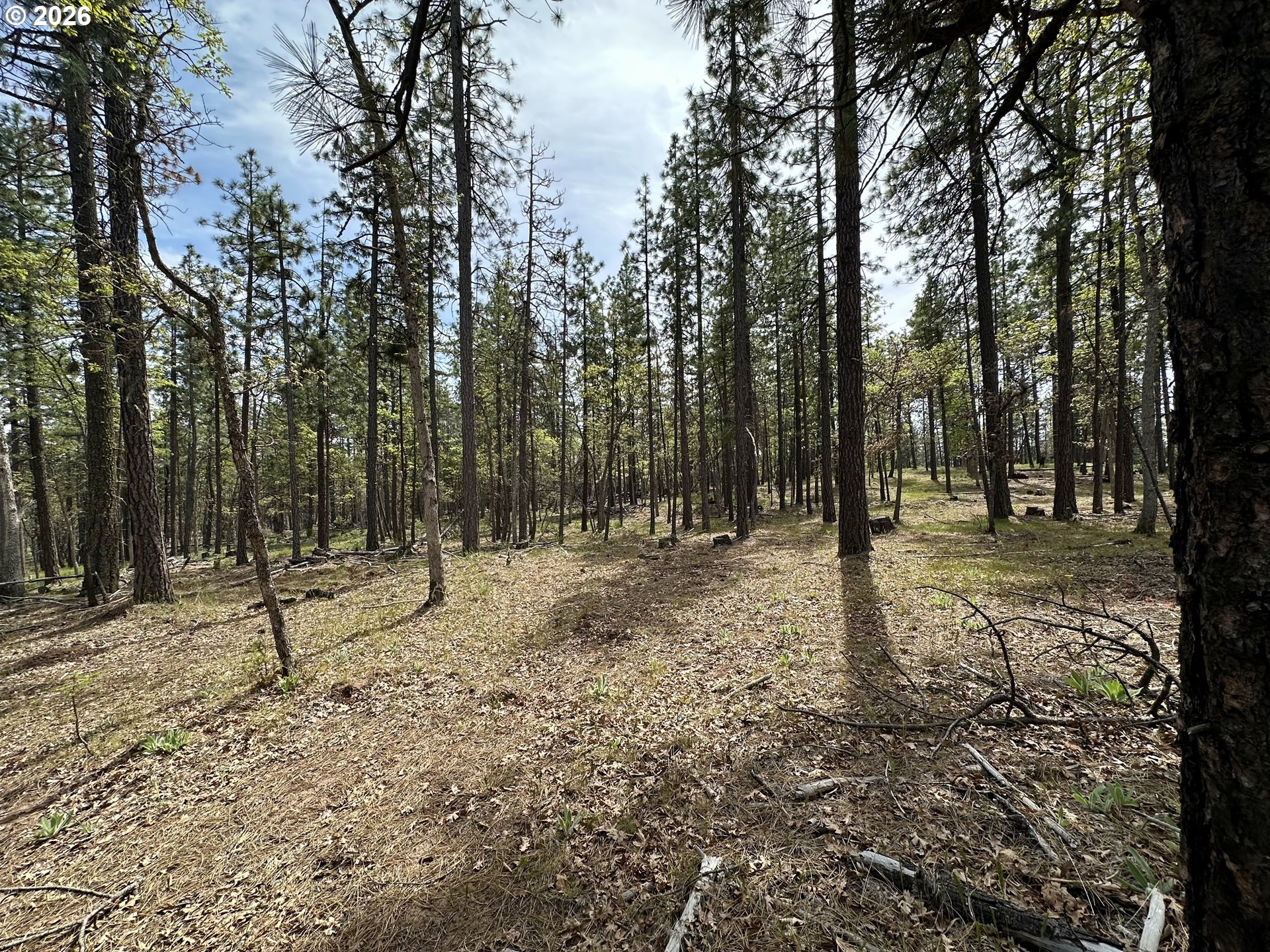 Pipeline Road Goldendale, WA 98620 - Photo 14 of 31 Gallery Image 14