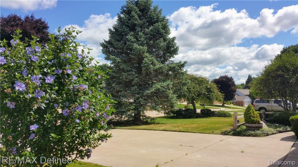 230 Tanglewood Drive Rochester, MI 48309 - Photo 3 of 23 20180718_112710.jpg