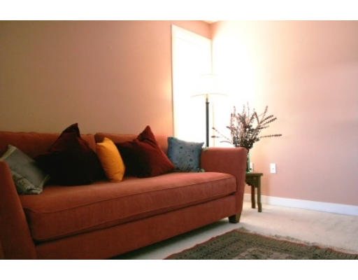 20 Chestnut Street, Unit 406 Cambridge, MA 02139 - Photo 12 of 17 a living room with furniture and a potted plant