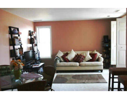 20 Chestnut Street, Unit 406 Cambridge, MA 02139 - Photo 7 of 17 a living room with furniture and wooden floor