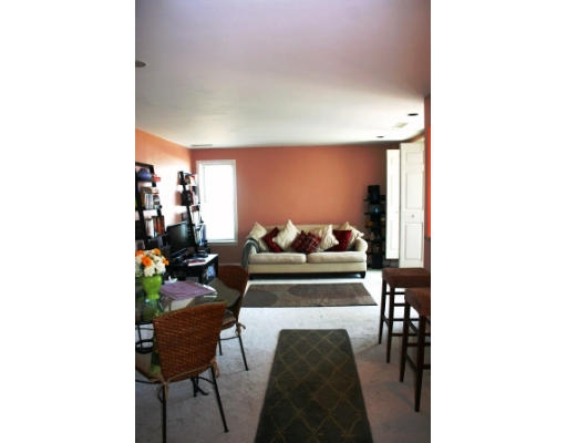 20 Chestnut Street, Unit 406 Cambridge, MA 02139 - Photo 8 of 17 a living room with furniture and a potted plant
