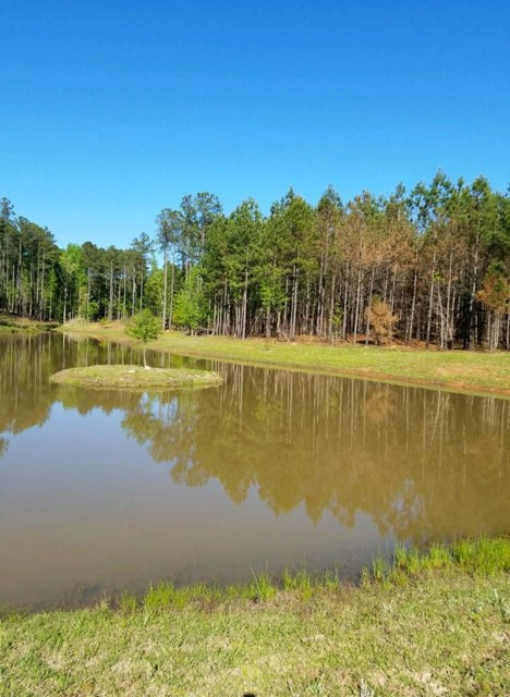 304 Old Stage Road Edgefield, SC 29824 - Photo 2 of 27