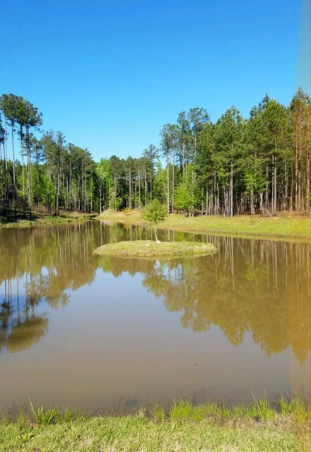 304 Old Stage Road Edgefield, SC 29824 - Photo 3 of 27