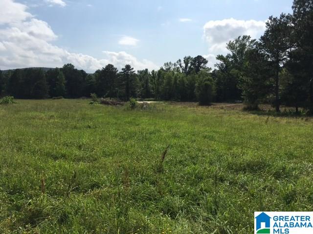 37-acres Joy Road, Unit 37 ACRES Hayden, AL 35079 - Photo 9 of 17