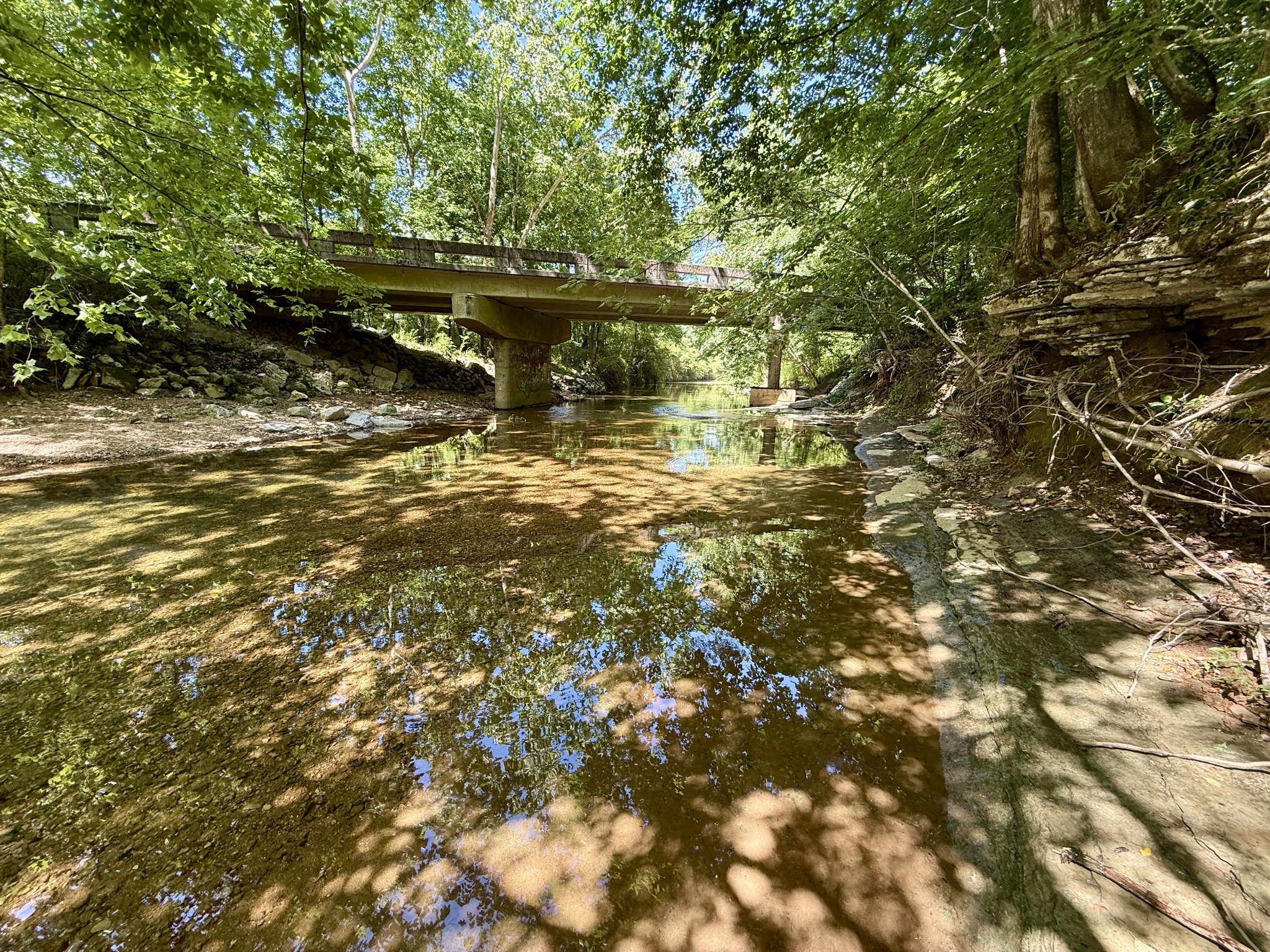 520 Bluff Road Loretto, TN 38469 - Photo 14 of 19