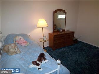 3327 Fairdale Road Philadelphia, PA 19154 - Photo 8 of 12 Bedroom 2