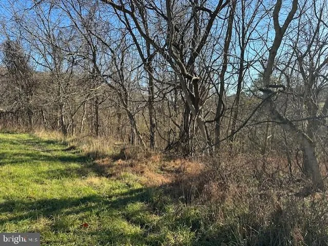 a view of outdoor space with trees all around