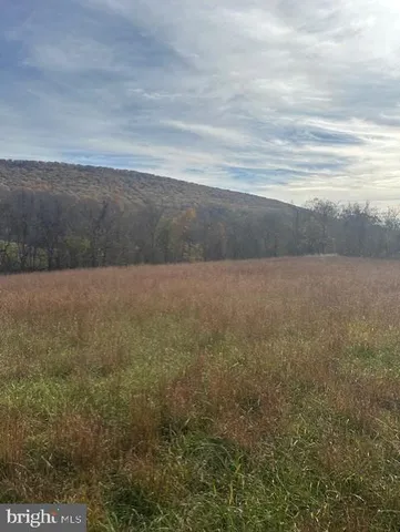 a view of a field with trees in background